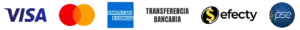 logo pagos riseland